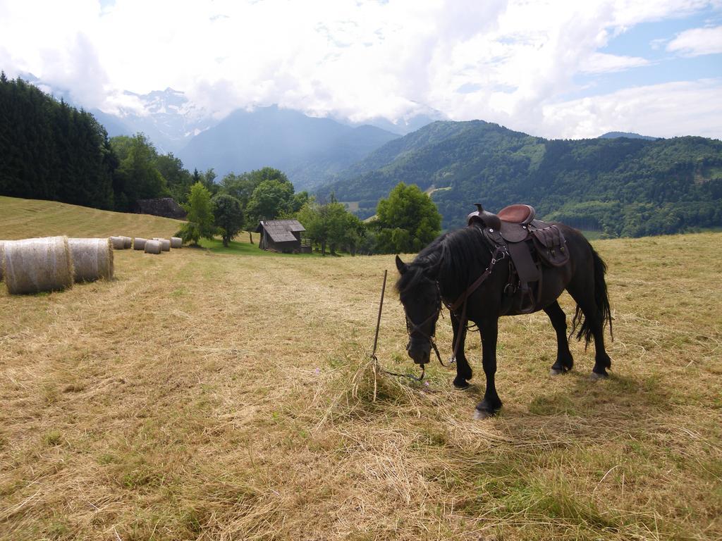 Gite Le Cerf De Belledonne Sainte-Agnès Buitenkant foto