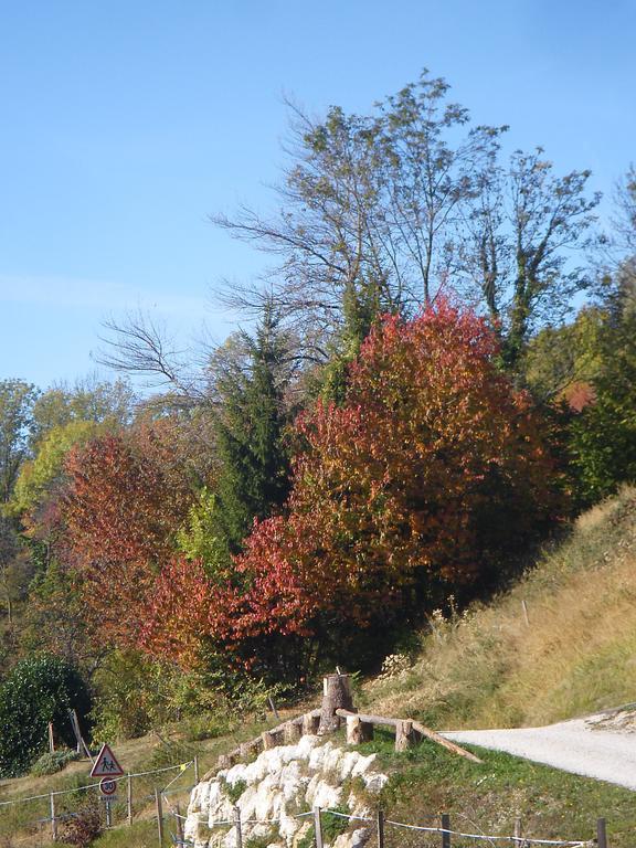 Gite Le Cerf De Belledonne Sainte-Agnès Buitenkant foto