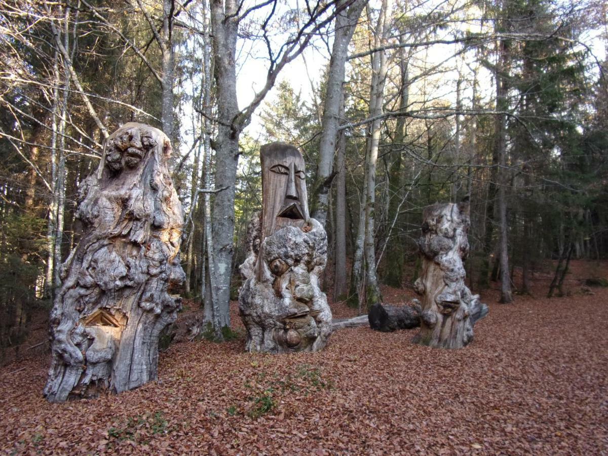Gite Le Cerf De Belledonne Sainte-Agnès Buitenkant foto