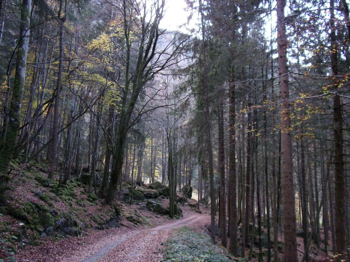 Gite Le Cerf De Belledonne Sainte-Agnès Buitenkant foto